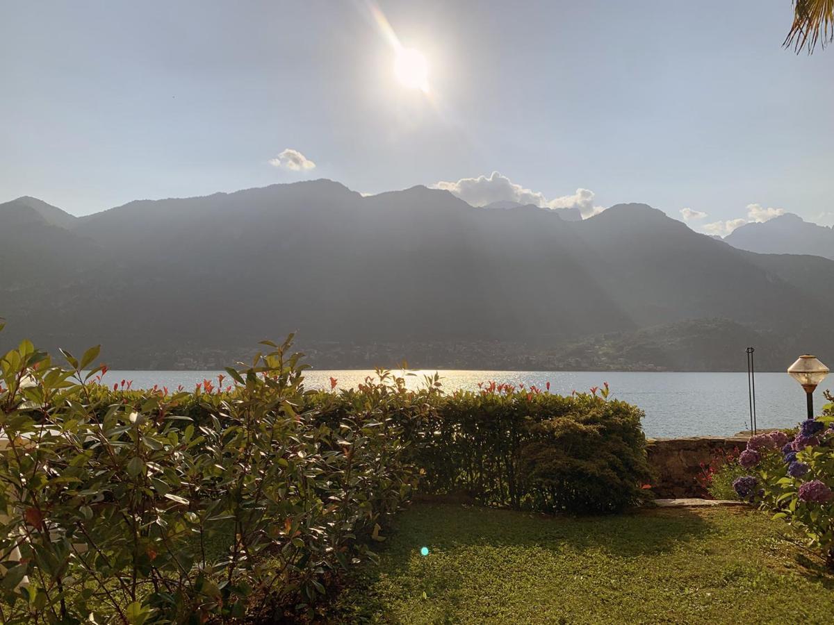 Terrace On The Lake Apartment Oliveto Lario ภายนอก รูปภาพ